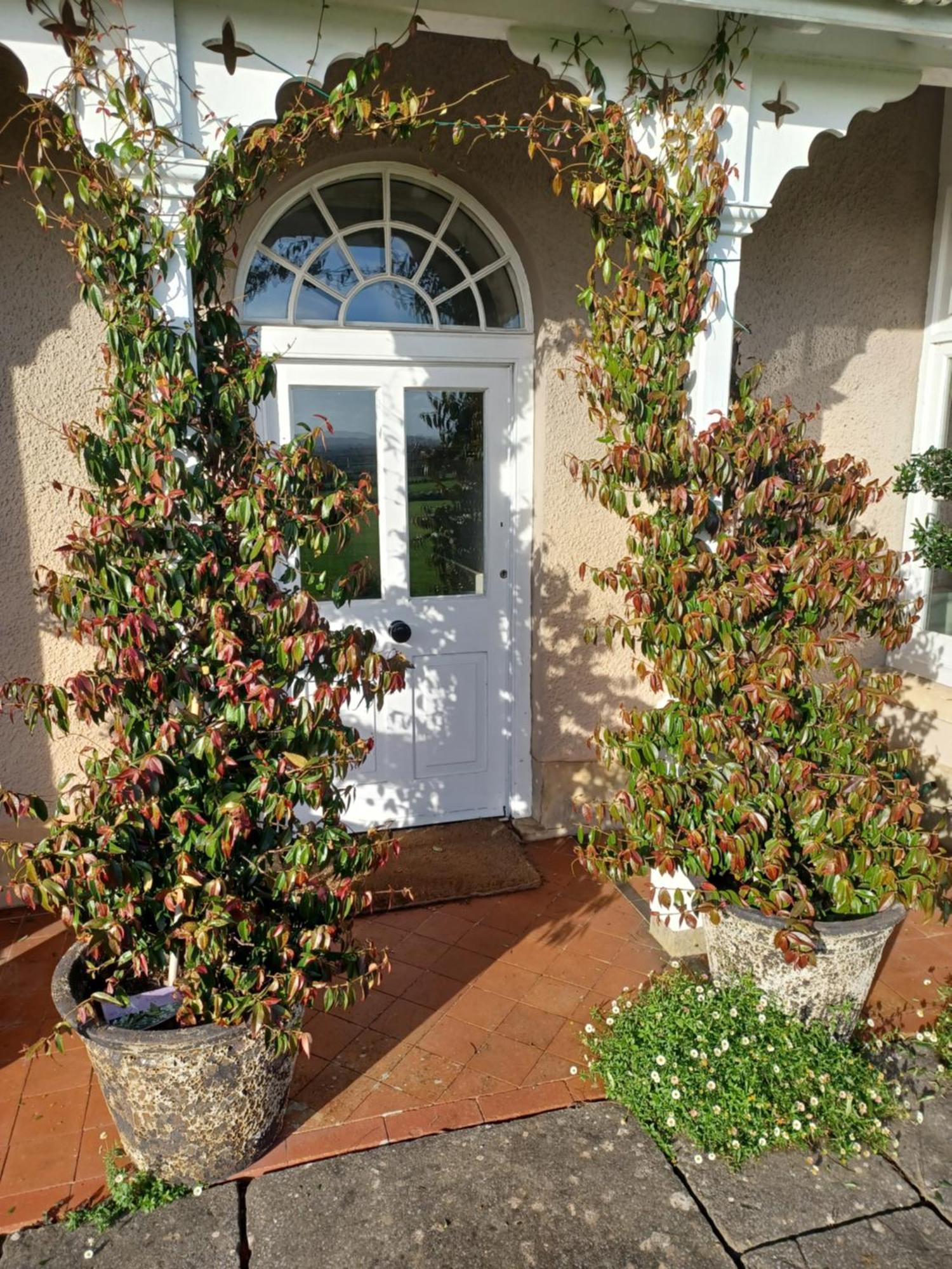 Bed and Breakfast Rusling House Butcombe Esterno foto